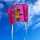 Elliot Drachen Pocket Kite Maus Flieger 76x50cm lila
