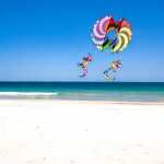 Elliot Drachen X-Kites 3-D Circle Wing Polyestertuch m Druck