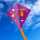 Elliot Drachen Eddy MausElefaEnte 75x75cm Gfk4mm lila