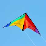 Elliot Drachen Delta Basic 117 x 59 cm rainbow/schwarz rtf