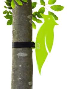 Elliot Lichtzauber Buntspecht 31 cm grün