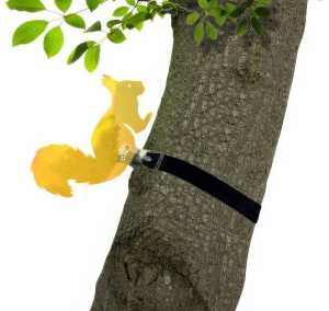 Elliot Lichtzauber Eichhörnchen 30 cm orange