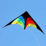 Elliot Delta Stunt, rainbow/schwarz, rtf