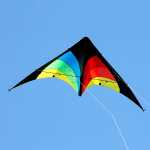 Elliot Drachen Delta Stunt 148 x 63 cm rainbow/schwarz rtf