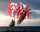 Elliot Drachen WindNSun 3D Piratenschiff Polyestertuch Druck