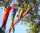 Elliot Windsack/Spinsock Rainbow 198 cm