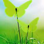 Elliot Lichtzauber Schmetterling Magic Superior, 50 cm,...