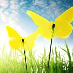 Elliot Lichtzauber Schmetterling Magic gebogen 50 cm gelb