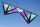 Elliot Drachen Revolution REFLEX RX lila
