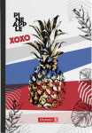 Brunnen Notizbuch Premium Pineapple Kladde A5 punktiert