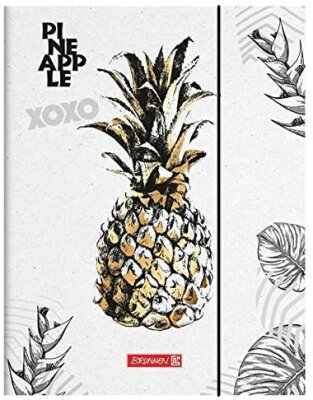 BRUNNEN Sammelmappe A4 RVS Pineapple