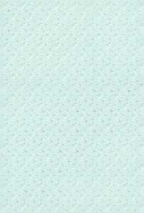 Motivkarton Just Married Ornament A4 mint