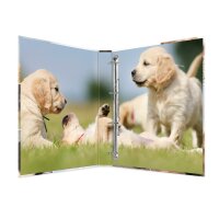 Herma RINGBUCH A4 KARTON 4D TIERE HUNDE