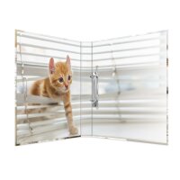 Herma RINGBUCH A4 KARTON 2D TIERE KATZEN