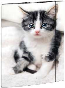 RNK Zeichenmappe Katze A3 Gummizug 310x440mm