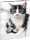 RNK Zeichenmappe Katze A3 Gummizug 310x440mm