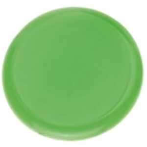 Posternägel, Hellgrün, Ø 30 mm, Dose à 10 Stück, mit farbigen Kunststoffköpfen