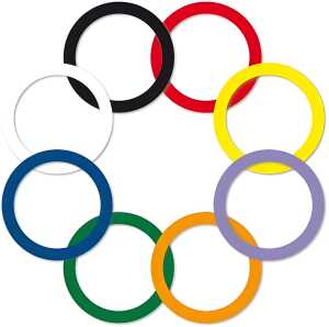 Schlüsselkennringe, bunt gemischt, SB-Dose à 8 Stück