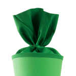 Goldbuch Bastelschultüte 70cm mit farbigem Filzverschluss grün