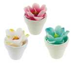 Trötsch Seerosenkerzen 7 x 9 cm