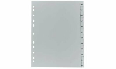 Herlitz Register Jan-Dez 23x29,7cm PP 12tlg. Eurolochung