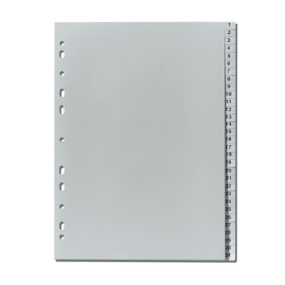 Herlitz Register 1-31 23x29,7cm PP m. Druck Eurolochung