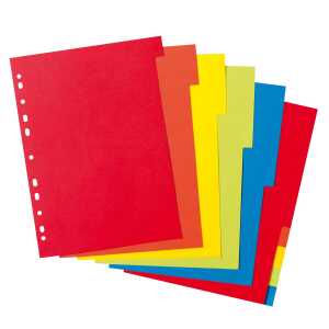 Register A4 Karton 10-teilig Intensivfarben, unbedruckt, 225 x 297 mm
