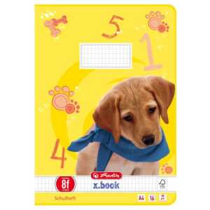 HLZ Schulheft A4 16 Bl Lineatur 8f rautiert 5 x 7 mm