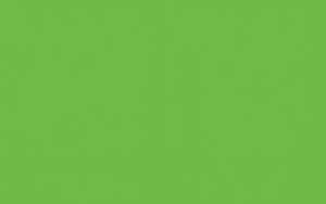 Ursus PLAKATKARTON.380G.68x96CM,LINDGRÜN