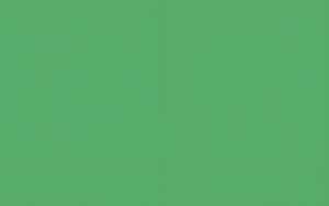 Ursus PLAKATKARTON.380G.68x96CM,DUNKELGRÜN