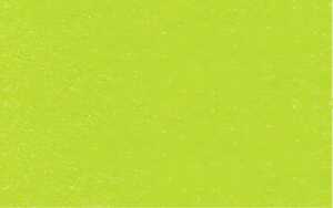 Ursus BRIEFKARTEN DIN LANG,10BL.TROPICGRÜN