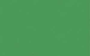 Ursus BRIEFKARTEN DIN LANG,10BL.TANNENGRÜN