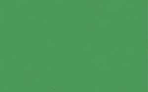 Ursus PASSEPARTOUTK.DIN A6,OVAL,10ST.TANNENGRÜN