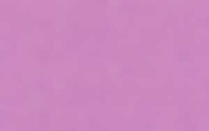 Ursus PASSEPARTOUTK.DIN A6,RUND,10ST.FLIEDER