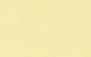 Ursus BRIEFUMSCHLÄGE DIN LANG,10ST.CHAMOIS