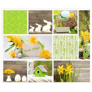 Ursus FOTOKARTON "OSTERN"300G.49,5X68CM,MOT.01 4008525217428