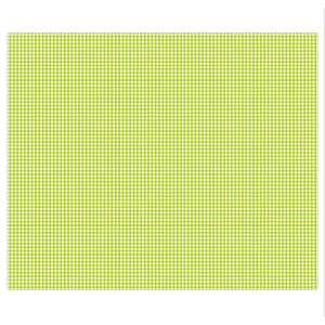 Ursus PEPITA-FOTOKARTON "MINI"300G.49,5x68CM,HELLGRÜN