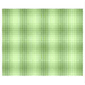 Ursus PEPITA-FOTOKARTON "MINI"300G.49,5x68CM,GRÜN