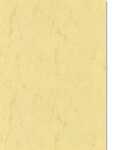 Ursus ELEF.HAUT-BLOCK 110G.DIN A5,25BL.CHAMOIS