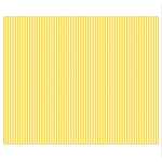 Ursus STREIFEN-FOTOKARTON...