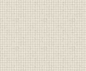 Ursus MOTIV-FOTOKARTON 300G.49,5x68CM,RASTER