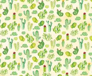 Ursus MOTIV-FOTOKARTON 300G.49,5x68CM,KAKTEEN