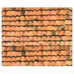 Ursus MOTIV-FOTOKARTON 300G.49,5x68CM,DACHZIEGELN