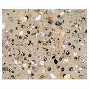 Ursus MOTIV-FOTOKARTON 300G.49,5x68CM,MUSCHELN