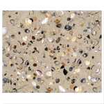 Ursus MOTIV-FOTOKARTON 300G.49,5x68CM,MUSCHELN