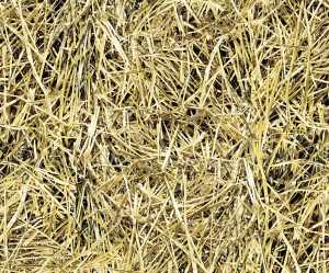 Ursus MOTIV-FOTOKARTON 300G.49,5x68CM,STROH