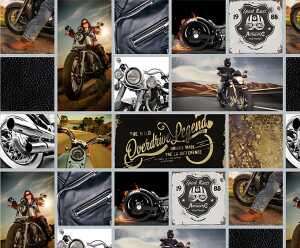 Ursus MOTIV-FOTOKARTON 300G.49,5x68CM,BIKES