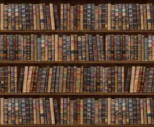 Ursus MOTIV-FOTOKARTON 300G.49,5x68CM,BIBLIOTHEK