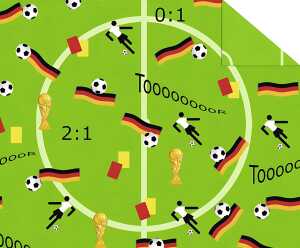 Ursus FOTOKARTON "FUSSBALL"300G.49,5x68CM,POKALE