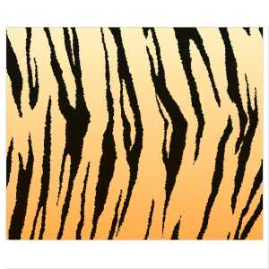 Ursus FOTOKARTON "TIERFELL"300G.49,5x68CM,TIGER